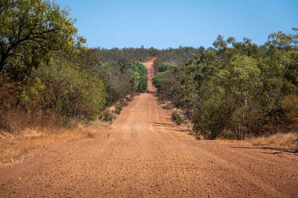 auf dem Savannah Way