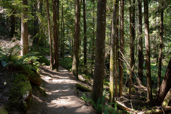 Englishman River Falls Provincial Park - Rundwanderung