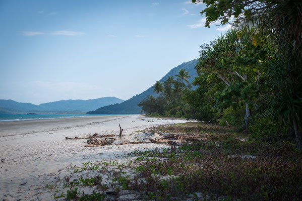 Noah Beach