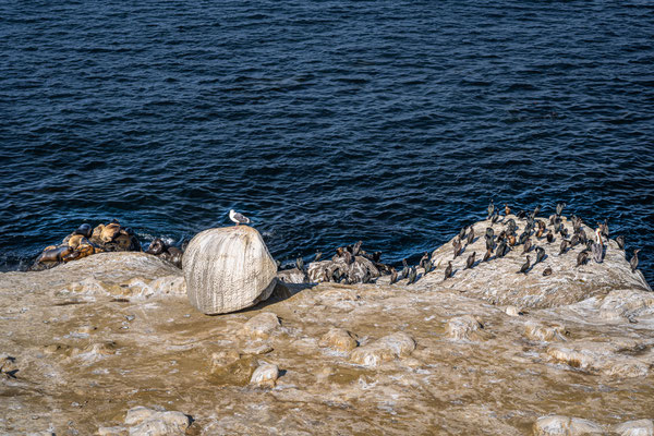 La Jolla Cove, San Diego
