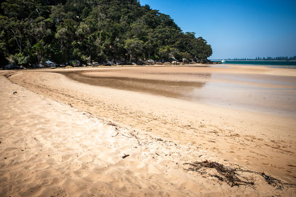 Great Mackarel Beach, Kuring-gai National Park