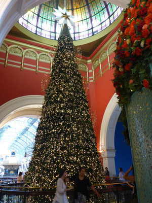 Im Queen Victoria Building - Christmas