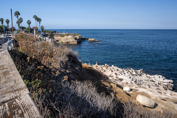 La Jolla Cove, San Diego