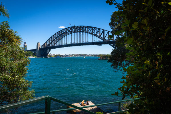 Kirribilli Boardwalk 