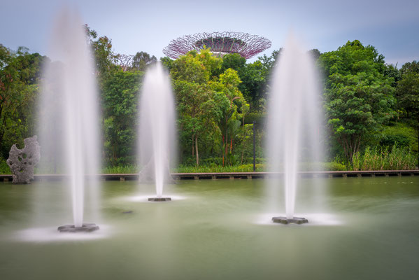 Garden of the Bay - mit Supertrees im Hintergrund