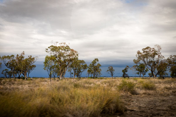 Unterwegs nach Lightning Ridge - es sieht nach Regen aus...