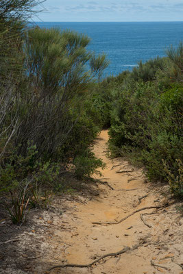 Royal National Park - Wanderweg