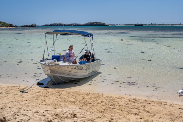 Penguin Island, Rockingham 