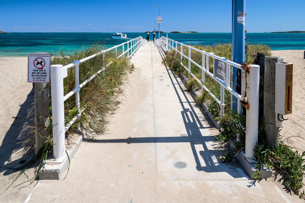Penguin Island, Rockingham - die Jetty für die Fähre nach Penguin Island
