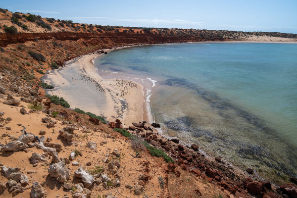 François Peron Nationalpark, Shark Bay Halbinsel - Skipjack Point - Aussicht Richtung Cape Peron