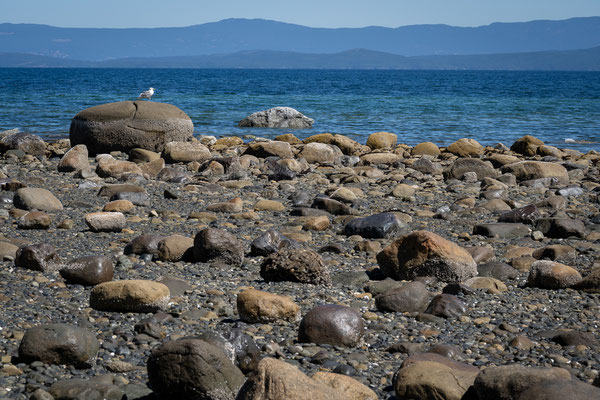 auf dem Weg von Campbell River nach Chemainus - Qualicum Beach