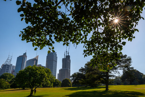Royal Botanic Garden - Skyline