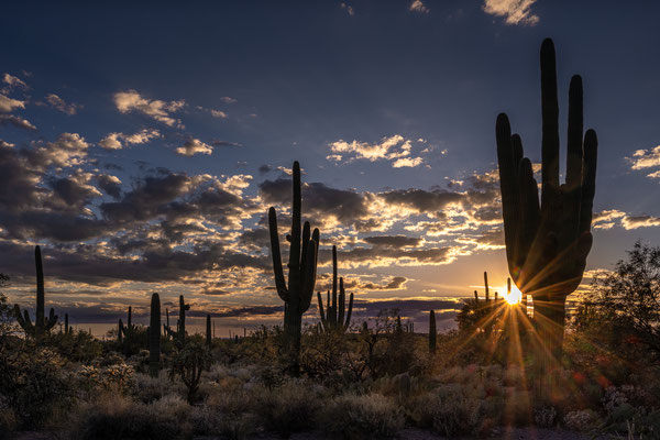 Sabino Canyon - Sunset