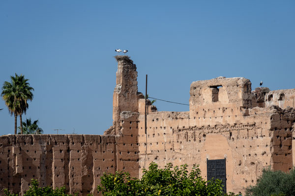 Marrakesch - El Badi Palast - Storchennest