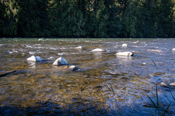 am Campbell River