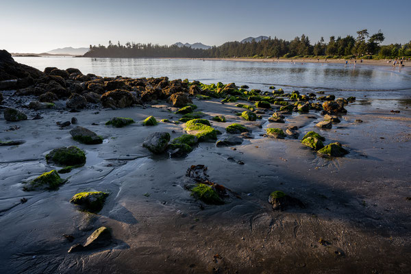 Tofino - MacKenzie Beach