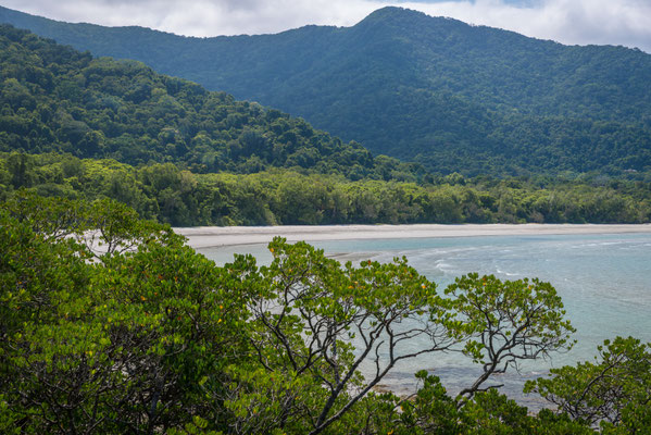 Cape Tribulation Beach