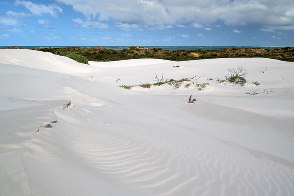 Green Head Tourist Drive - Sanddünen