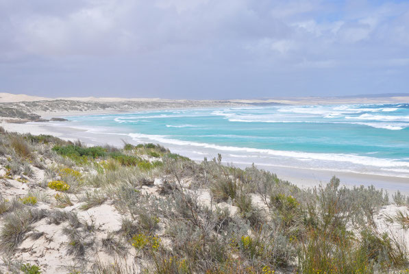 Coffin Bay National Park - Almonta Beach