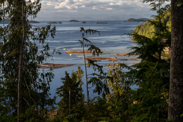 Auf dem Weg zurück nach Port McNeill - Aussicht bei 'Beaver Cove'