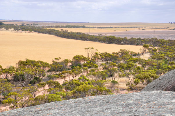 Pildappa Rock - Aussicht von oben