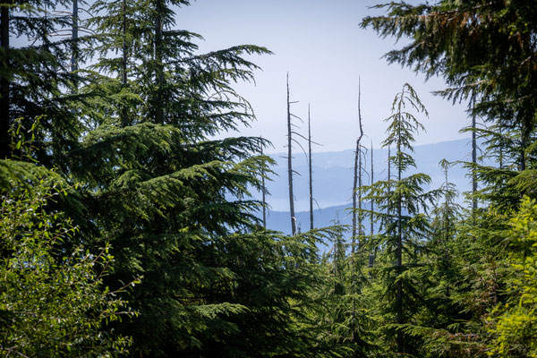 Cypress Provincial Park - Wanderung zum Bowen Lookout