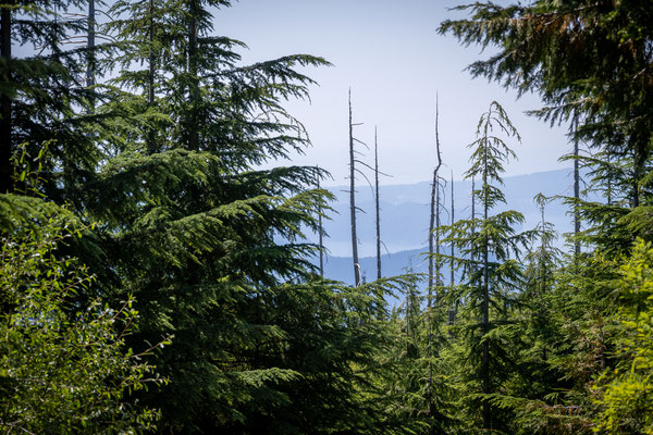 Cypress Provincial Park - Wanderung zum Bowen Lookout