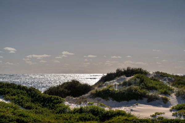 Lancelin Sand Dunes, Lancelin 