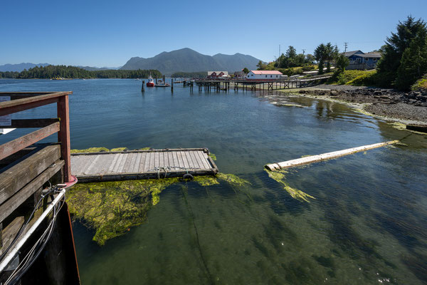 Tofino - Dock