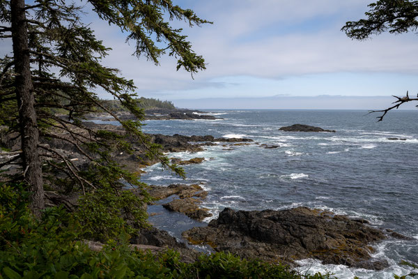Ucluelet - Wild Pacific Trail