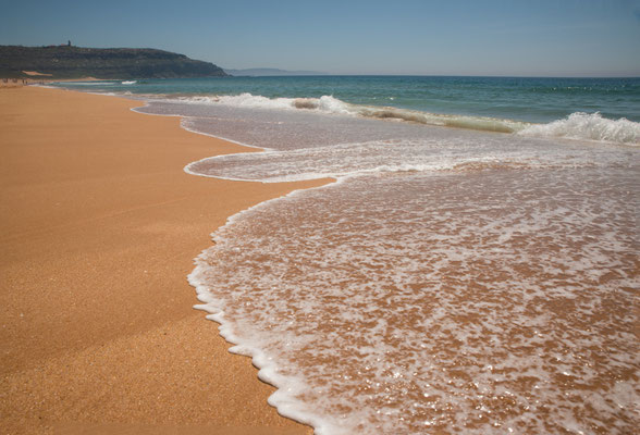 Palm Beach