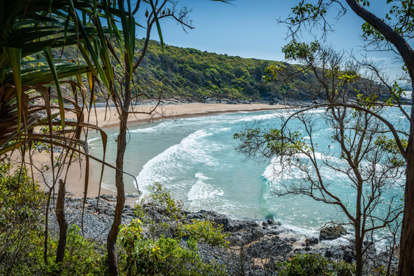 Noosa Heads National Park