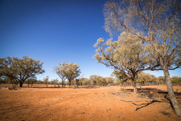 Charlotte Plains Station 