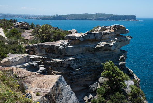 Sydney Harbour NP South Head (im Hintergrund North Head)