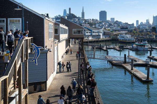 Fisherman's Wharf, San Francisco - Pier 39, Sicht auf City