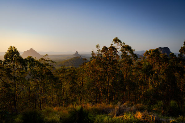 Auf dem Mount Beerburrum