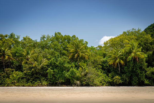 Coconut Beach