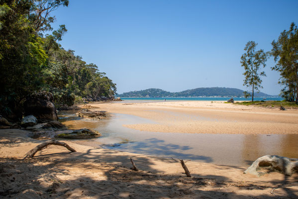 Great Mackarel Beach, Kuring-gai National Park