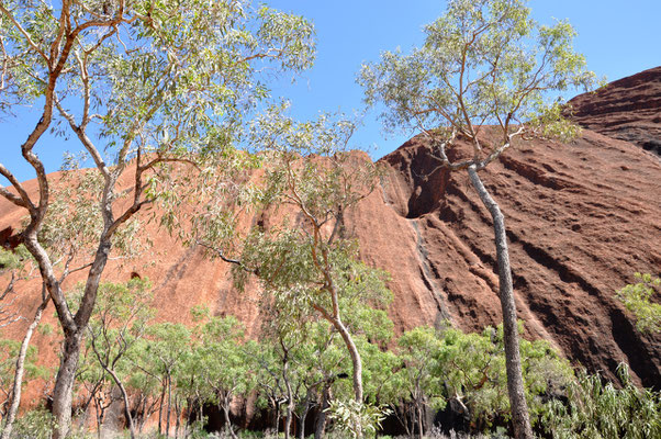 Uluru Base Walk