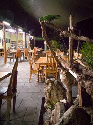 Restaurant beim Camping (Hync-Haven Rainforest Retreat)