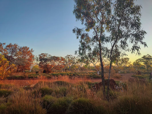 Karijini Eco Retreat, Karijini National Park - Aussicht von der Restaurant-Terrasse