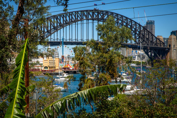 Lavender Bay - Wendy's Secret Garden