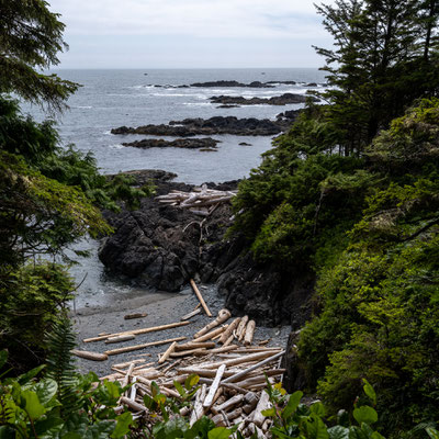 Ucluelet - Wild Pacific Trail