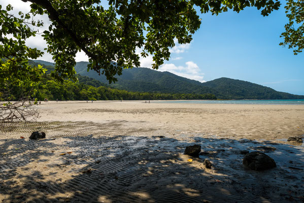 Cape Tribulation Beach