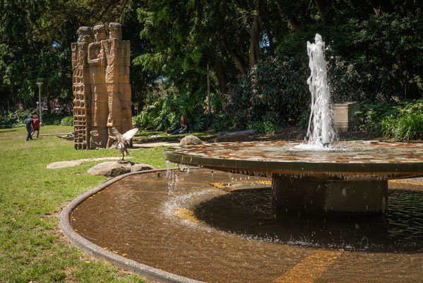 Hyde Park - mitten in Sydney