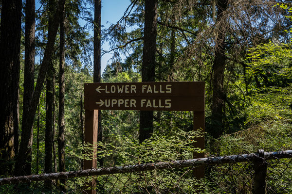 Englishman River Falls Provincial Park - Rundwanderung