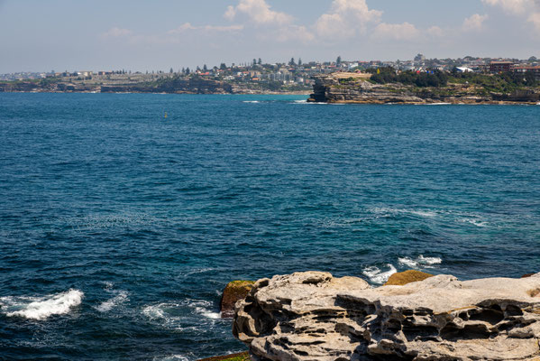 Coastal Cliff Walk - Aussicht von Sam Fiszman Park