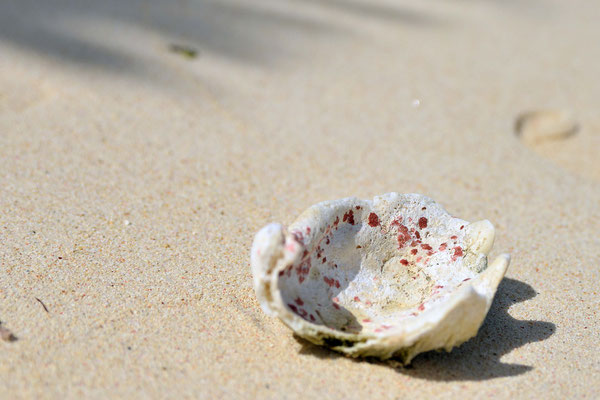 ein letzter Spaziergang am Strand