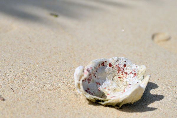 ein letzter Spaziergang am Strand