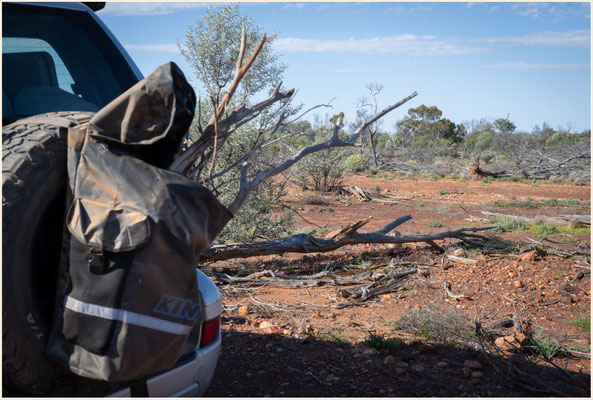 Outback Queensland - vor Yowah - Suche nach Feuerholz